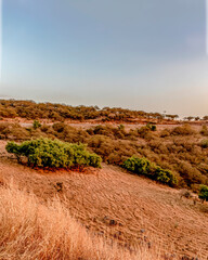 landscape and mountains during sunset