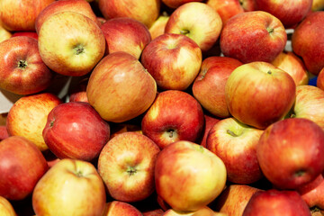 Lots of juicy yellow-red apples. Seasonal fruits. Healthy eating.