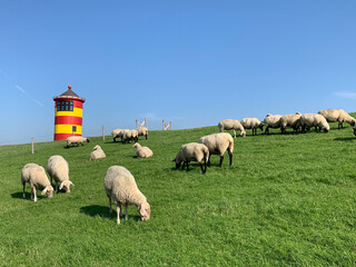Fototapeta premium Leuchtturm in Norddeutschland