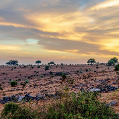 sunset over the desert