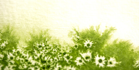 Obraz na płótnie Canvas Hintergrund, grünes Aquarell mit Salztechnik wirkt wie eine Wiese oder Pflanze mit weiße Blüten oder Sternen