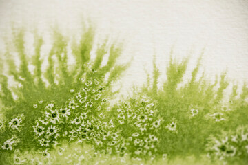 Fototapeta premium Hintergrund, grünes Aquarell mit Salztechnik wirkt wie eine Wiese oder Pflanze mit weiße Blüten oder Sternen