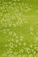 Hintergrund, grünes Aquarell mit Salztechnik wirkt wie eine Wiese oder Pflanze mit  weiße Blüten  oder Sternen