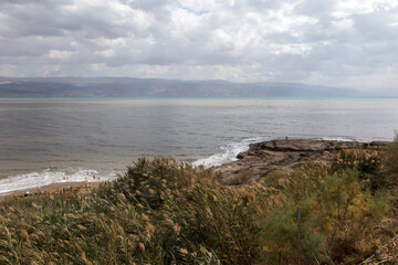 Fototapeta na wymiar fragment of the shore of the Dead Sea