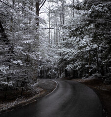 Snow in Gatlinburg Tennessee 