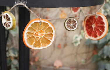 Garland with slices of dried orange, lemmon grapefruit, lime hanging. Handmade natural decorations.