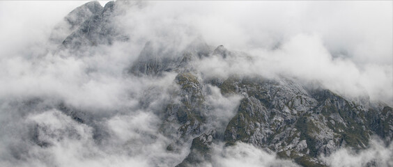 Obraz premium black and white