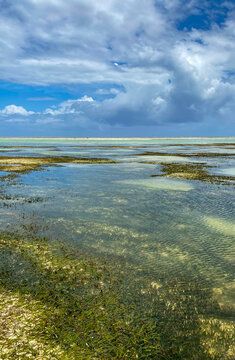 Melia Zanzibar beach on low tide. Panorama. Blue sky