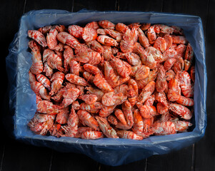 Lots of frozen prawns in a box. Seafood healthy. 