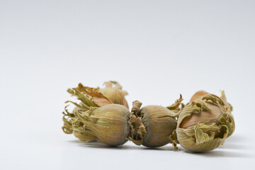 Heap or stack of raw hazelnuts on white background.