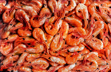 Lots of frozen northern shrimps. Seafood healthy. 