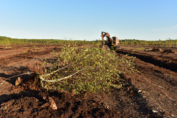 Destruction of trees on peatlands and drainage of peat bogs at extraction site. Drilling on bog for...