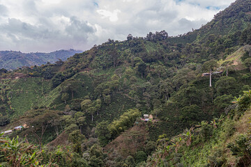 Fototapeta na wymiar view of the mountains in Santa María Huila Colombia Coffe