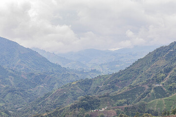 Fototapeta na wymiar view of the mountains in Santa María Huila Colombia Coffe