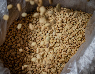 Obraz premium dry coffee entering a sack