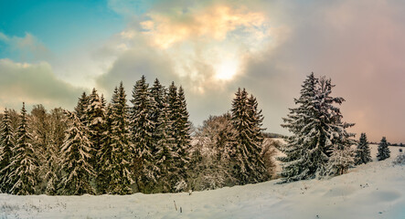 Rhön im Winter