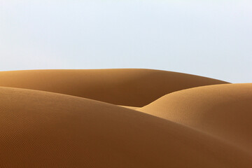 sand dunes in the desert