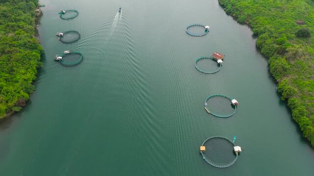 Aerial view of fish ponds for bangus, milkfish. Fish farm, top view. large scale traditional floating fish farms.