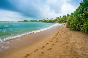 A view of Mirissa beach in Sri Lanka