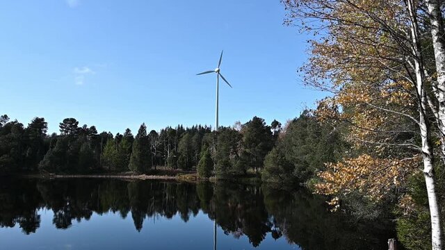 Beautiful Lake Blindensee in the Black Forest, Germany during autumn with its dark, clear water and the windmill and forest reflecting in it.