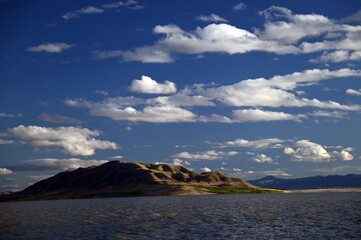 Bird Island