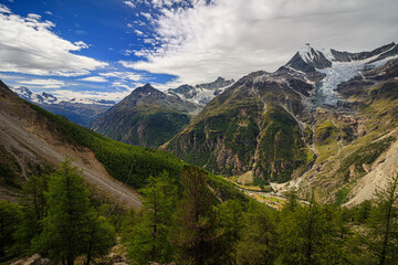 Fototapeta premium visp weißhorn, zermatt, tree, landscape,