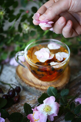 Selective focus. Rosehip tea. Pink flowers and leaves of rose hips.
