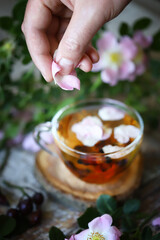 Selective focus. Rosehip tea. Pink flowers and leaves of rose hips.