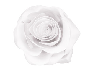one elegant white rose close up isolated on white, 3d render