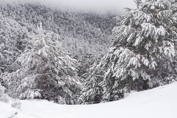 Fototapeta premium The Snowy Madrid Mountains