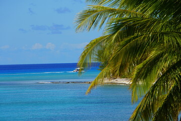 Beautiful blue ocean and green palm trees at Princess Cays, Bahamas