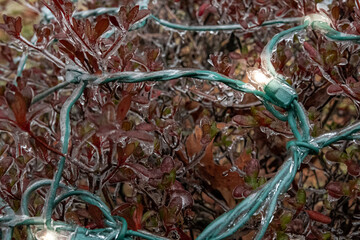 Holiday Lighting Covered in Ice from Winter Storm
