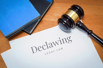 Declawing. Document with label. Desk with books and judges gavel in a lawyer's office.