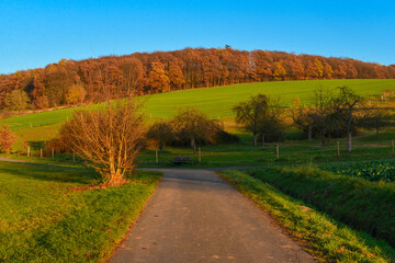 Ronneburger Hügelland