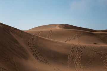 Fototapeta na wymiar Dunes of Concon, Chile