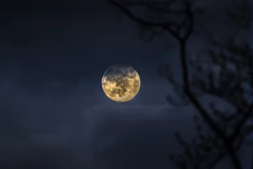 Cercles muraux Pleine Lune arbre Pleine lune de décembre 2020, la dernière pleine lune de la décennie, s& 39 élevant au-dessus de la montagne au crépuscule