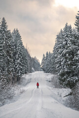 Thick snowy forest and man in red jacket walking on lonely snowy road.