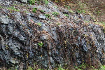Stone abstraction from nature for texture or abstraction.
