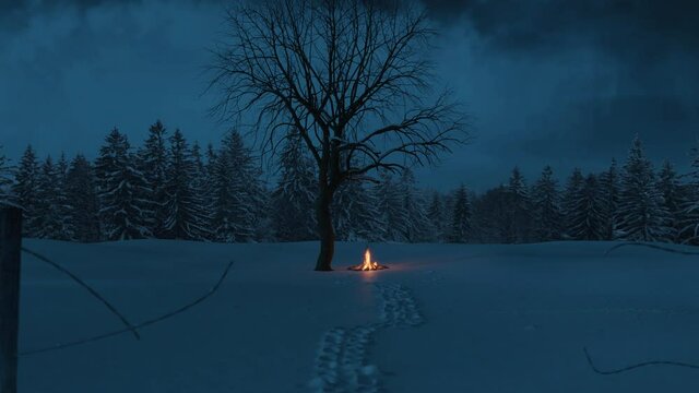 Animation Gehen in Richtung Schneespuren und Lagerfeuer im Schnee neben einzelnem Baum. 