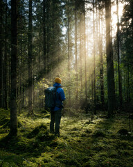 Fototapeta premium Thick dark forest with moss and sun rays shining trough. Male person standing in distance...V.By Valdis Skudre