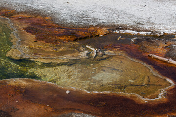 Abstraction from a hot spring in Yellowstone