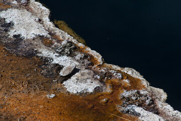 Abstraction from a hot spring in Yellowstone