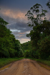 Panorama of the view of the Atlantic Forest in the city of Apia&iacute;-Iporanga, S&atilde;o Paulo, Brazil.