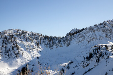 Exposed cliff with pine trees on snowy mountain