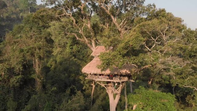 Aerial view of treehouse consturction in Laos.