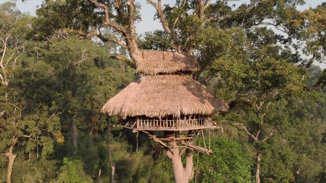 Aerial view of treehouse consturction in Laos.