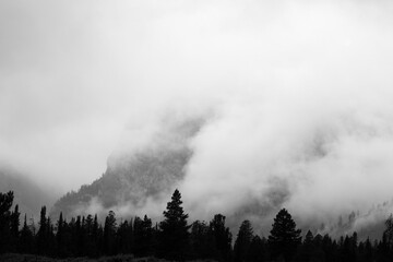 Mountain with morning mist in black and white