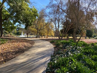 Walking path in a botanical garden in Los Angeles Arboretum