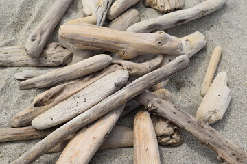 海岸に漂着した流木