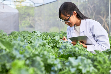 Woman botanist or scientist working in greenhouses.